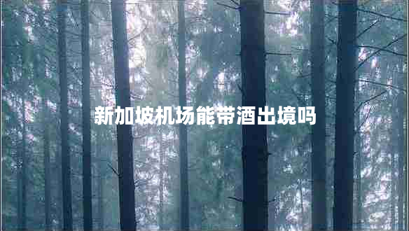 新加坡機場能帶酒出境嗎