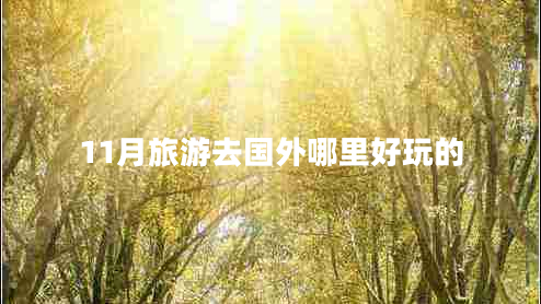 11月旅游去國(guó)外哪里好玩的