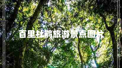 百里杜鵑旅游景點圖片