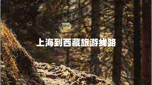 上海到西藏旅游線路