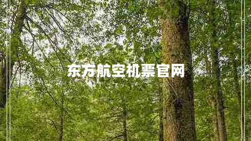 東方航空機(jī)票官網(wǎng)