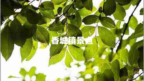 香城鎮(zhèn)景點