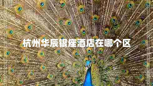 杭州華辰銀座酒店在哪個(gè)區(qū)