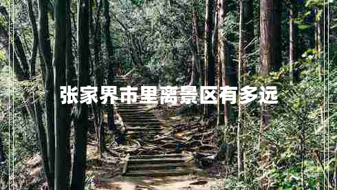 張家界市里離景區(qū)有多遠