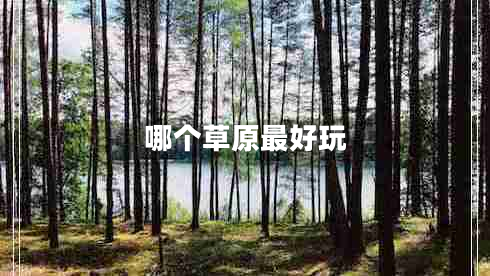 哪個草原最好玩