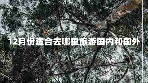 12月份適合去哪里旅游國(guó)內(nèi)和國(guó)外