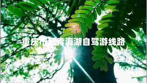 重慶市到青海湖自駕游線路