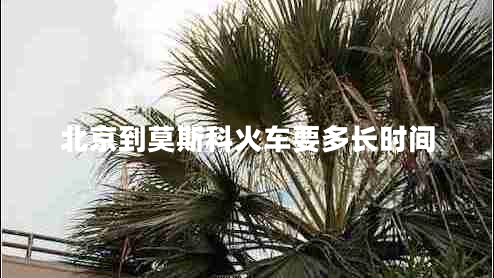 北京到莫斯科火車要多長時間