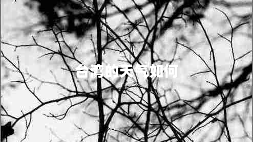 臺(tái)灣的天氣如何