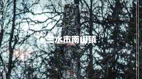 三水市南山鎮(zhèn)