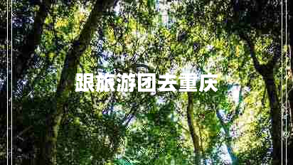 跟旅游團(tuán)去重慶