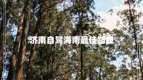 濟南自駕海南最佳路線