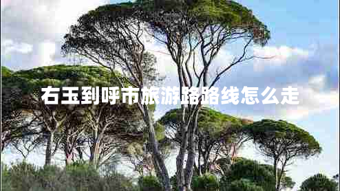 右玉到呼市旅游路路線怎么走