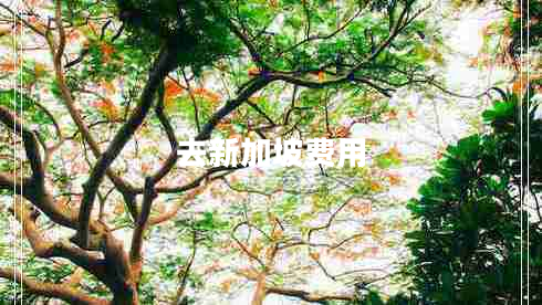 去新加坡費(fèi)用