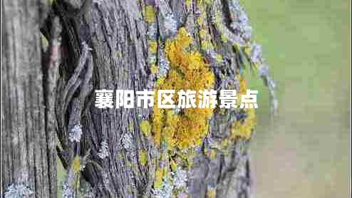 襄陽市區(qū)旅游景點