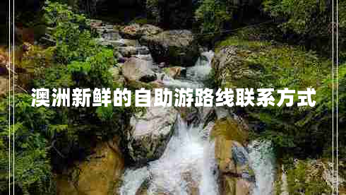 澳洲新鮮的自助游路線聯(lián)系方式