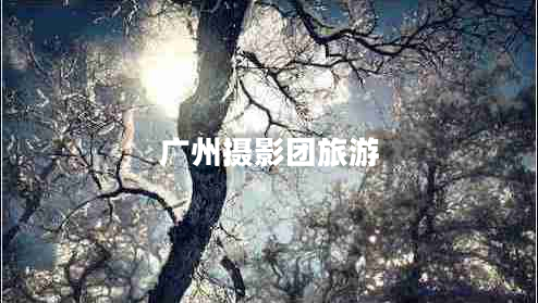 廣州攝影團(tuán)旅游