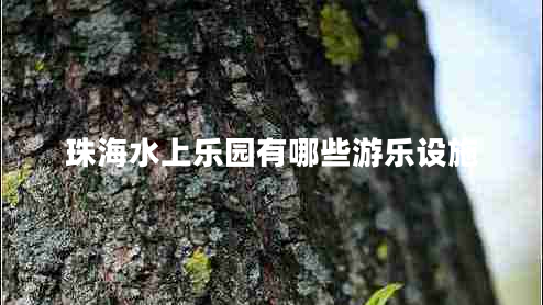 珠海水上樂園有哪些游樂設(shè)施