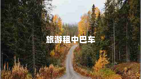 旅游租中巴車