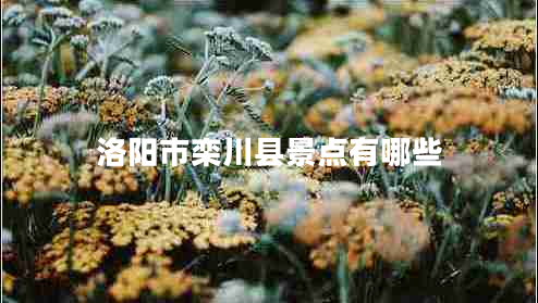 洛陽市欒川縣景點(diǎn)有哪些