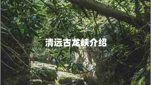 清遠(yuǎn)古龍峽介紹