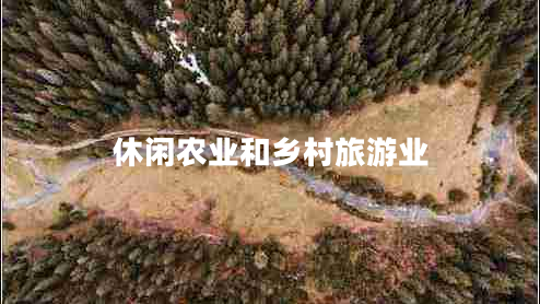 休閑農(nóng)業(yè)和鄉(xiāng)村旅游業(yè)