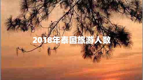 2018年泰國(guó)旅游人數(shù)