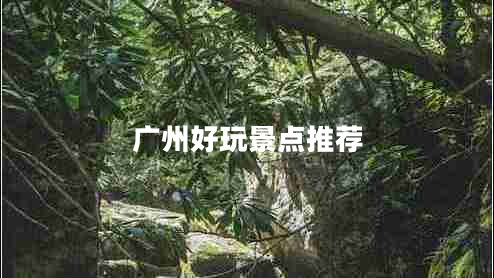 廣州好玩景點(diǎn)推薦