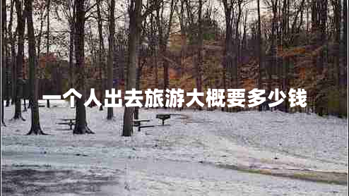 一個人出去旅游大概要多少錢