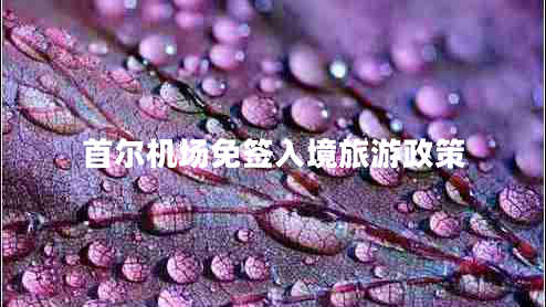 首爾機(jī)場(chǎng)免簽入境旅游政策