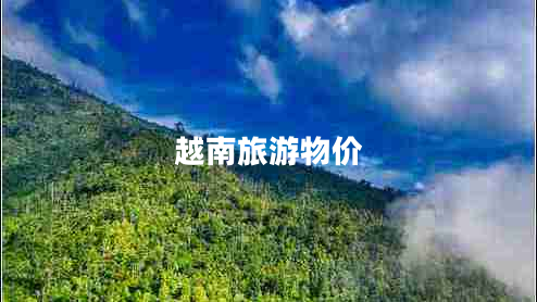 越南旅游物價