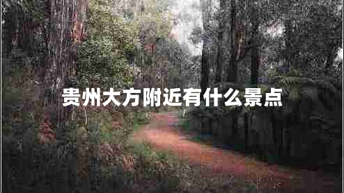 貴州大方附近有什么景點