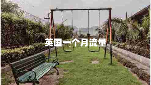 英國(guó)一個(gè)月流量