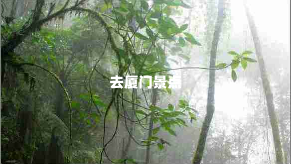 去廈門景點