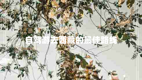 自駕游去西藏的最佳路線