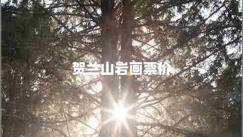 賀蘭山巖畫票價(jià)
