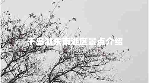 千島湖東南湖區(qū)景點(diǎn)介紹