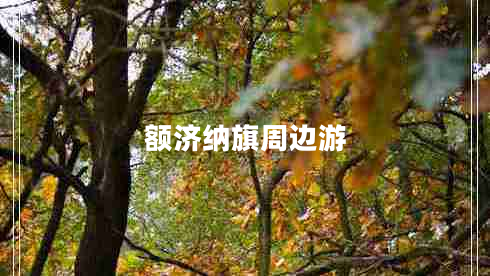 額濟(jì)納旗周邊游