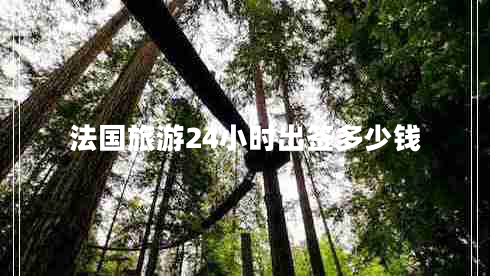 法國旅游24小時出簽多少錢
