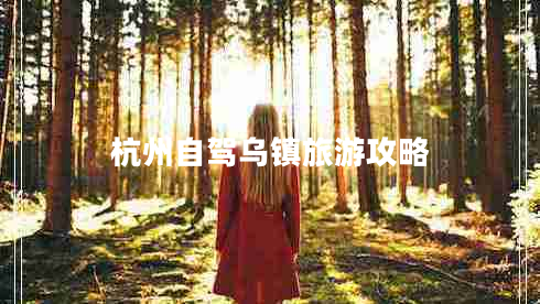 杭州自駕烏鎮(zhèn)旅游攻略