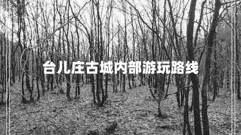 臺(tái)兒莊古城內(nèi)部游玩路線