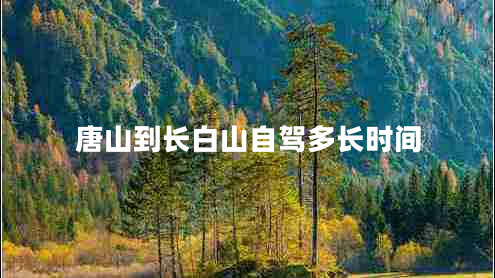 唐山到長白山自駕多長時(shí)間