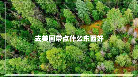去美國帶點什么東西好