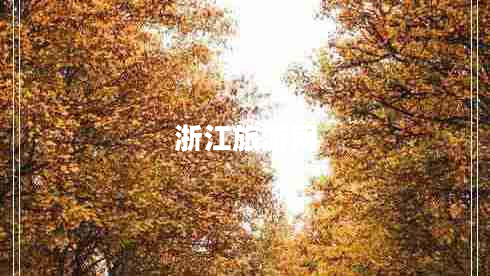 浙江旅游網
