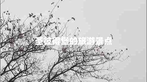圣彼得堡的旅游景點