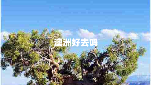 澳洲好去嗎