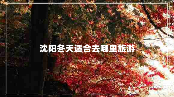 沈陽冬天適合去哪里旅游