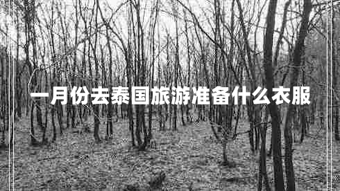 一月份去泰國旅游準(zhǔn)備什么衣服