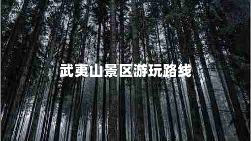 武夷山景區(qū)游玩路線