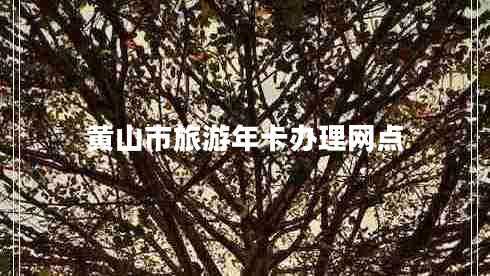 黃山市旅游年卡辦理網(wǎng)點